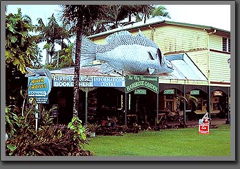 daintree