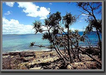 noosa national park