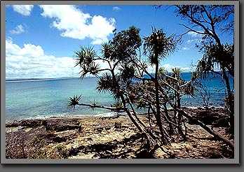 noosa national park