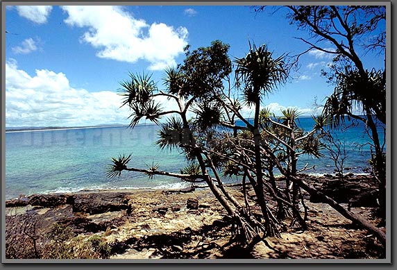 noosa national park