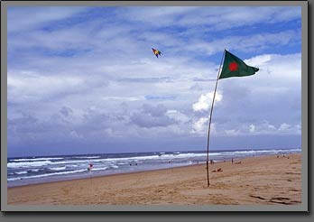 cap ferret 2