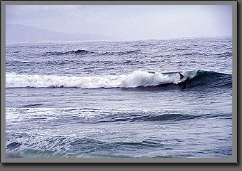 surfer