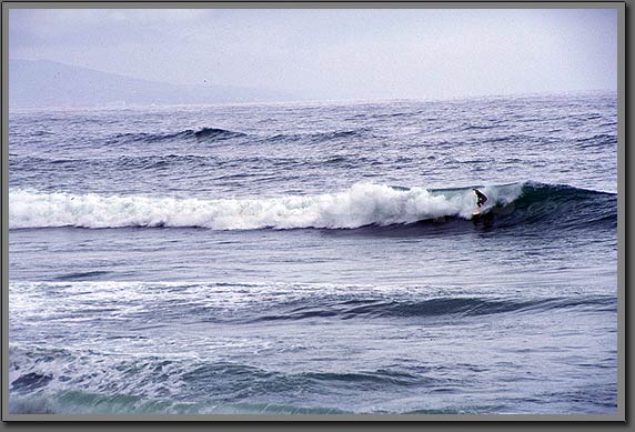 surfer