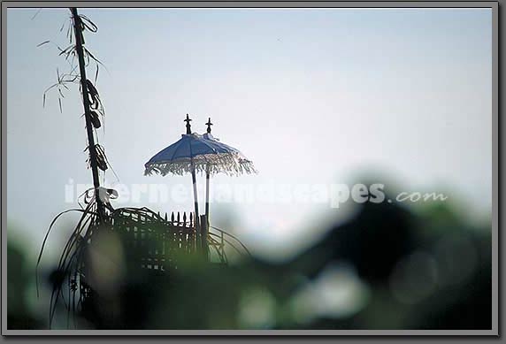 little umbrella