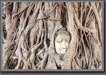 BANGKOK gallery NOVEMBER 2018 