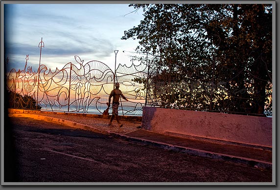 Salvador Fence