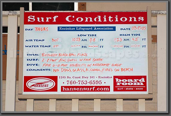 Surf Conditions