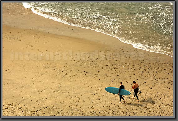 Surfers