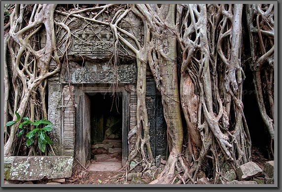 Angkor Ruins