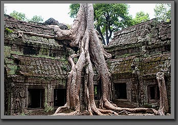 Angkor ruins 2