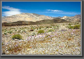 death valley