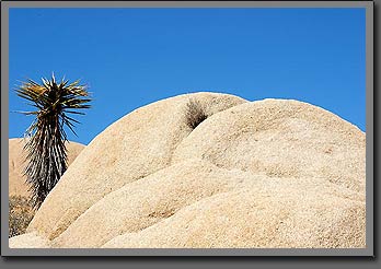 jumbo rocks 3