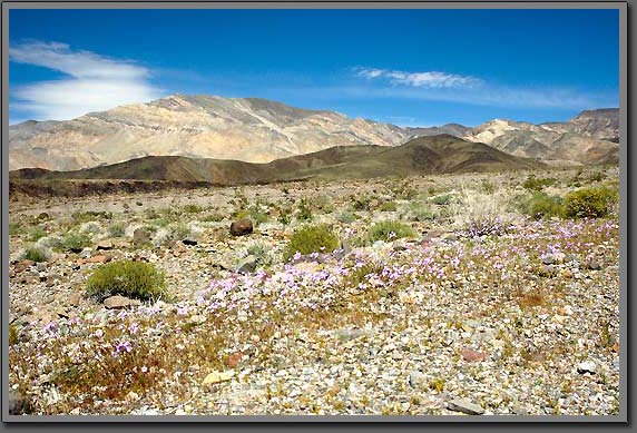 death valley