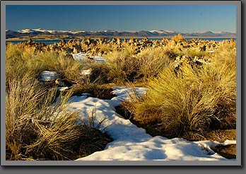 mono lake 2