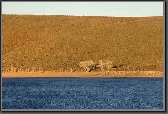 topaz lake