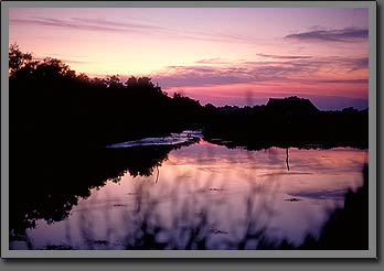 camargue france