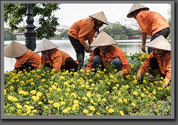 Garden workers