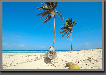 Playa del Este