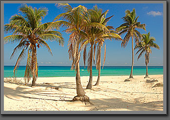 Playa del Este 2
