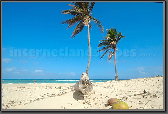 Playa del Este