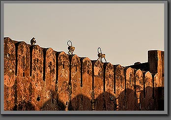 Jaigarh fort photo