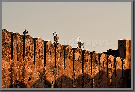 Jaigarh fort photo