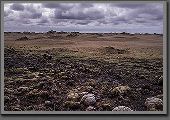 Old Lava Field Iceland