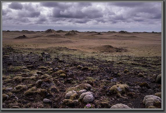 Old Lava Field Iceland