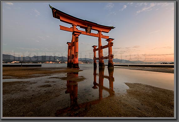 Miyajima Tori photo