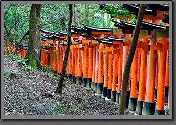 Fushimi Inari