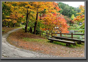 Takayama autumn photo