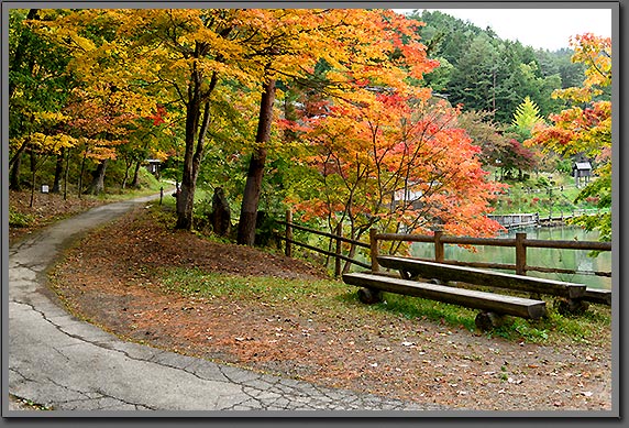 Takayama autumn photo