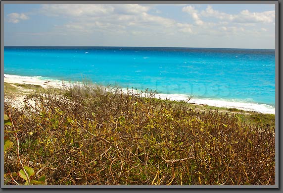 Cancun sea 2