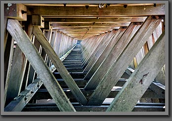 Under the pier