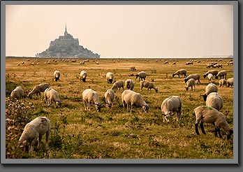 Le Mont Saint-Michel photo