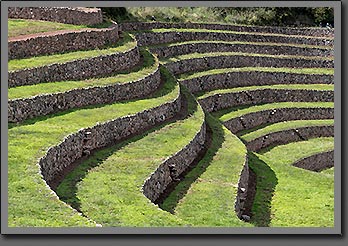 Moray