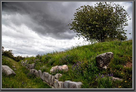 Sacsayhuaman