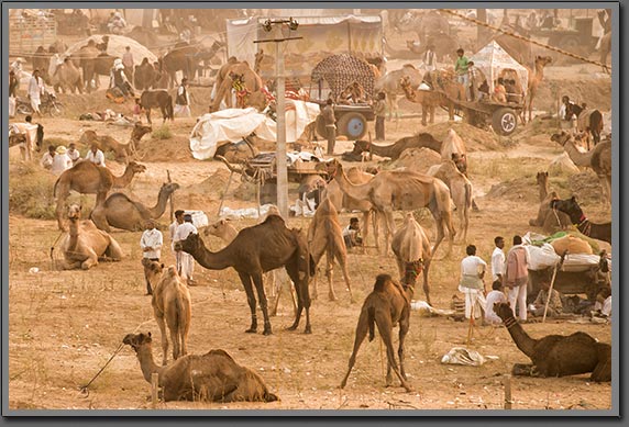 Fair View Pushkar India