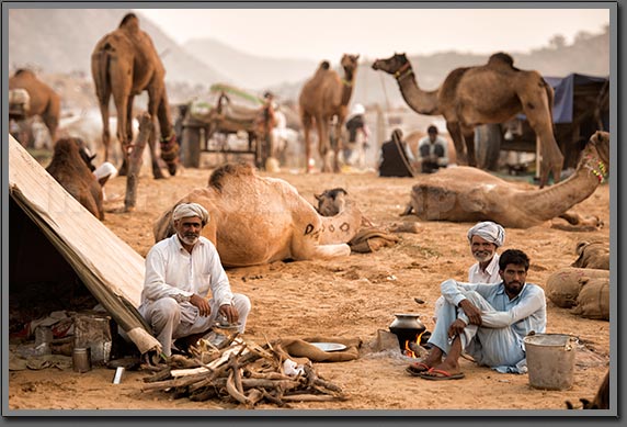 Traders Rest Pushkar India