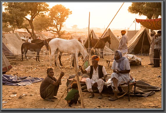 Horses Traders Pushkar India
