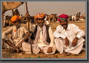 Camels Traders 3 Pushkar India