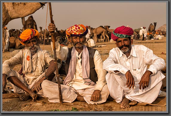 Camels Traders 3 Pushkar India
