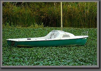 boat on grass