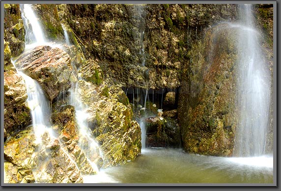 froda fall