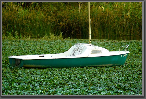 boat on grass