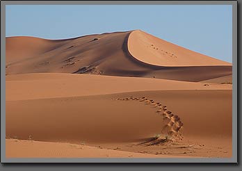 dune 2