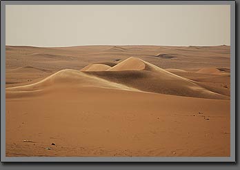 windy dunes