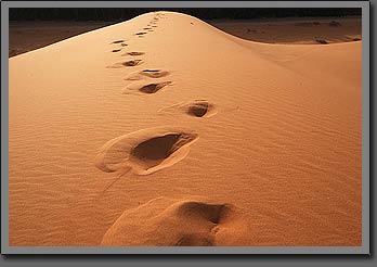 traces