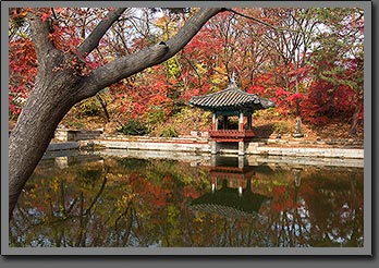 Autumn temple Seoul