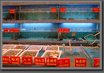 Fish Market